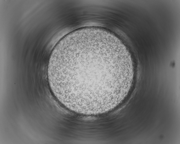 X0000114411321200911271517