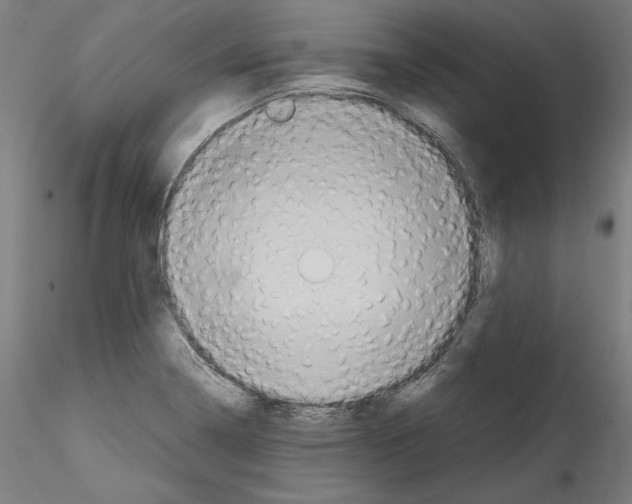 X0000114411322200911271517