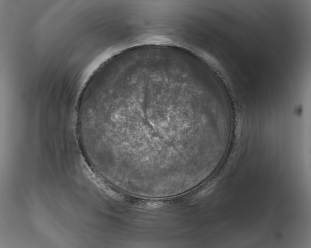 X0000114411326200911271517