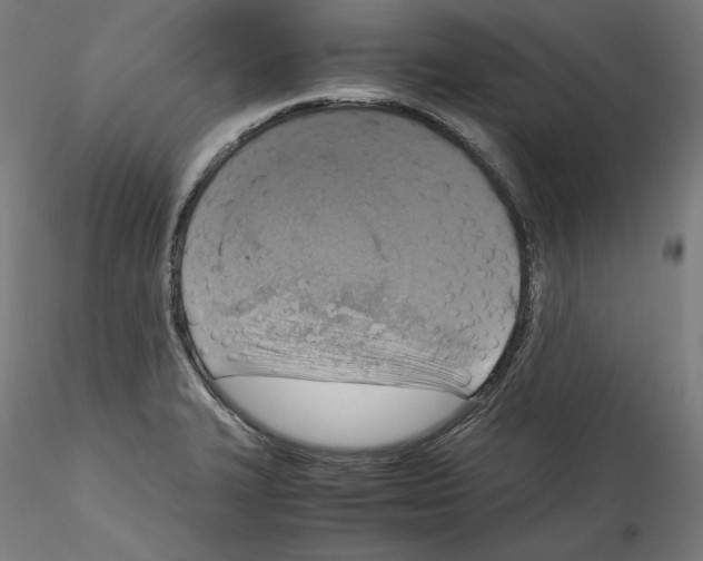 X0000114411327200911271517