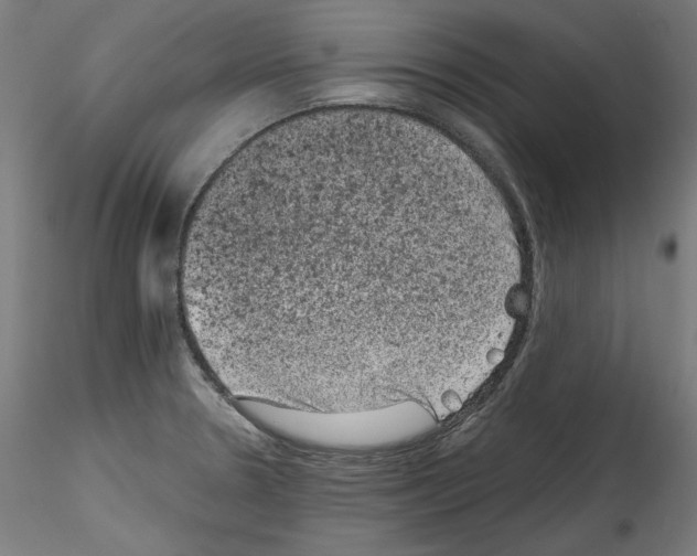 X0000114411330200911271517