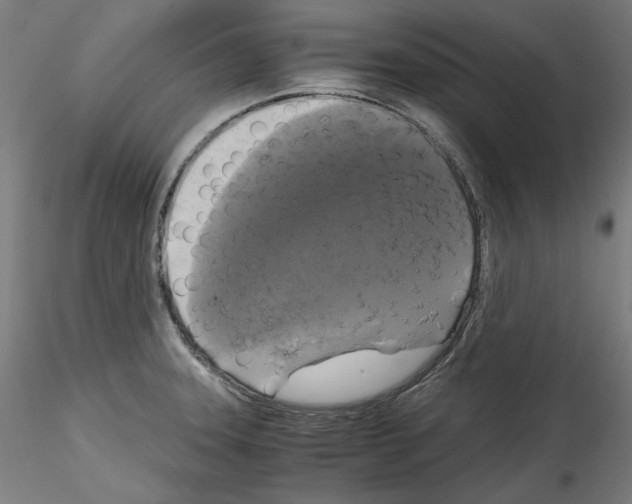 X0000114411331200911271517