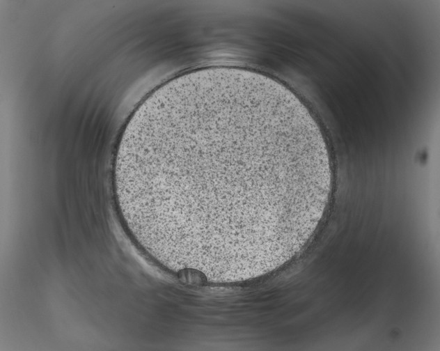 X0000114411333200911271517