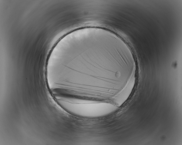 X0000114411334200911271517