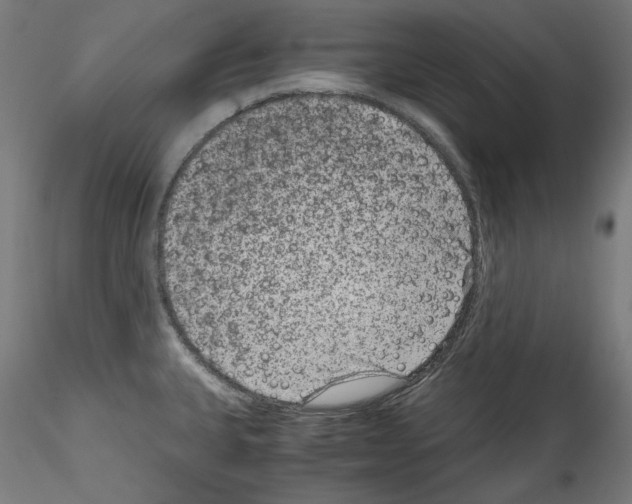 X0000114411335200911271517