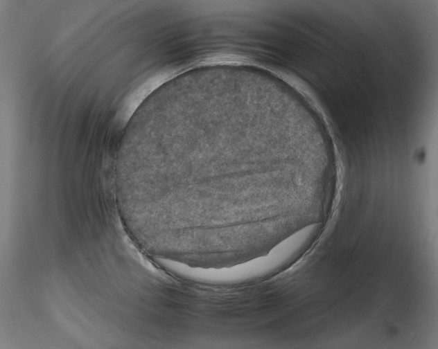 X0000114411337200911271517