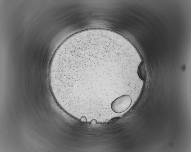 X0000114411339200911271517