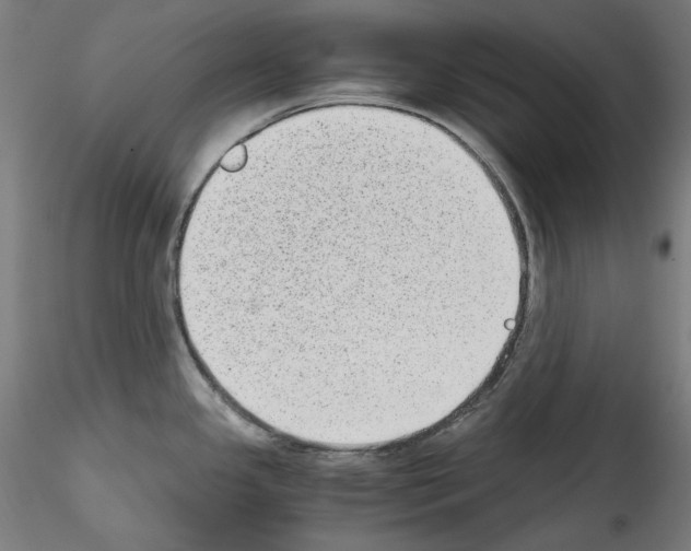 X0000114411341200911271517