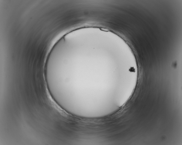 X0000114411342200911271517