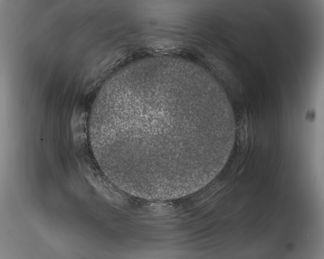 X0000114411346200911271516