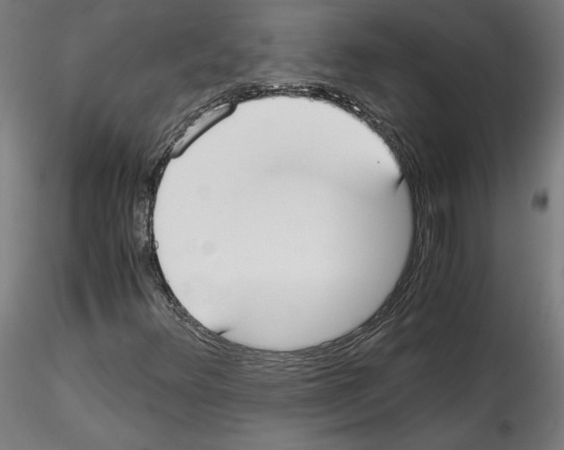 X0000114411348200911271516