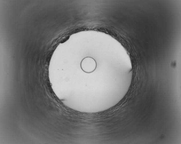 X0000114411349200911271516