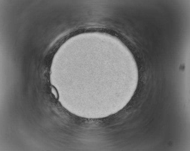 X0000114411351200911271516