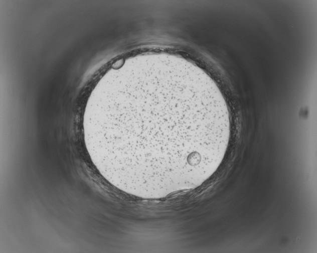 X0000114411352200911271516