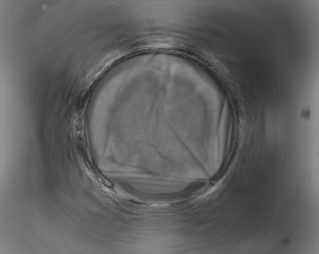 X0000114411353200911271516