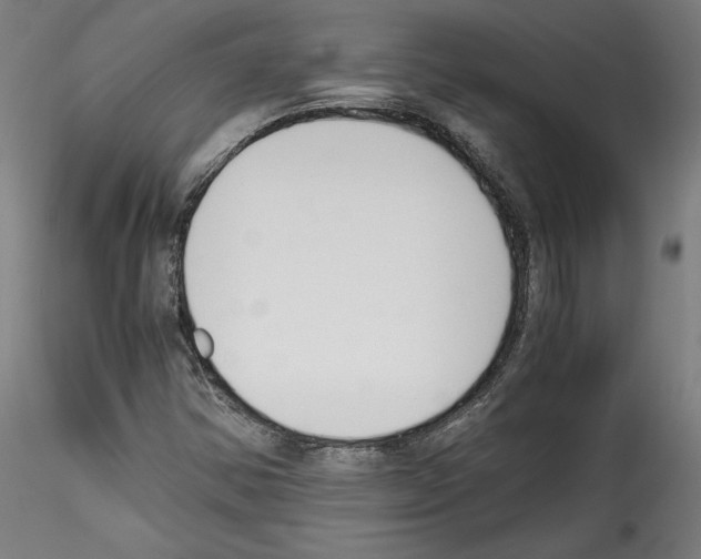 X0000114411354200911271516