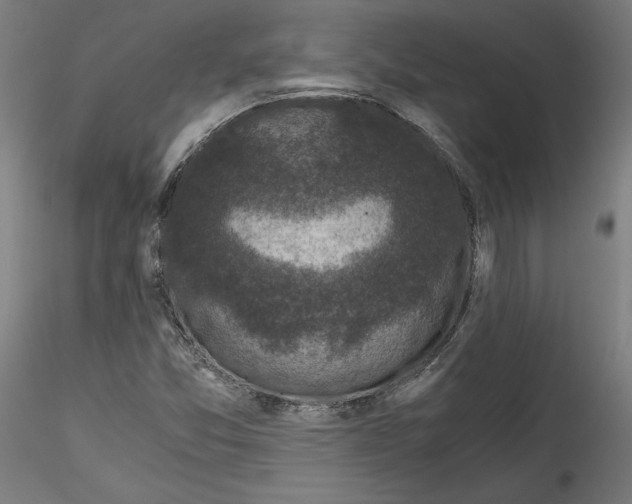 X0000114411357200911271516