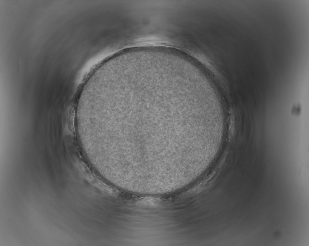 X0000114411358200911271516