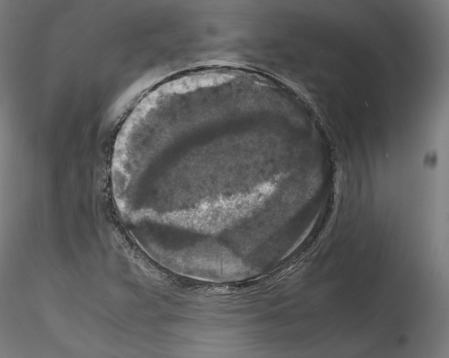 X0000114411359200911271516