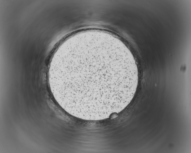 X0000114411360200911271516