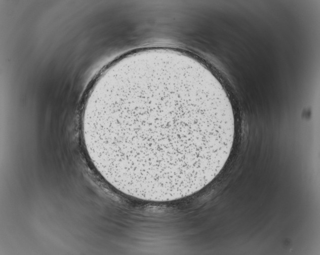 X0000114411364200911271516