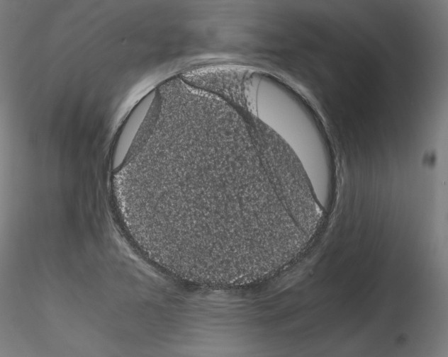 X0000114411365200911271516