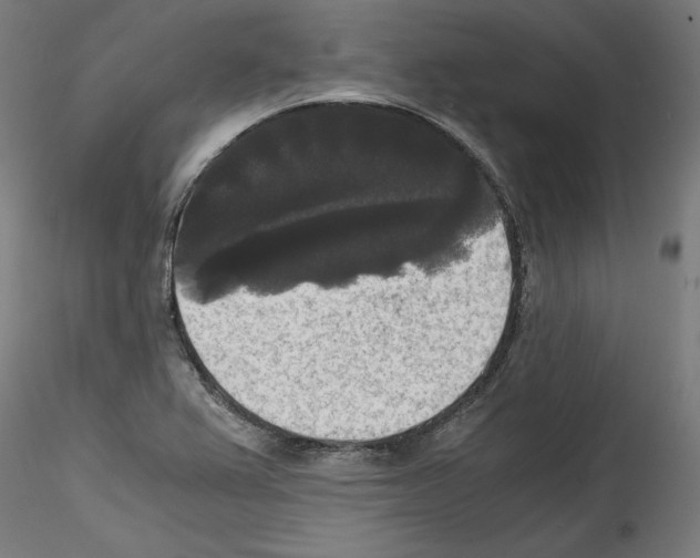 X0000114411367200911271516