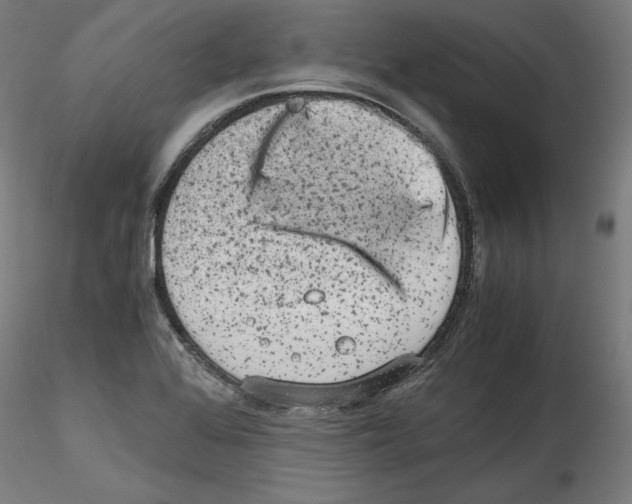 X0000114411368200911271516