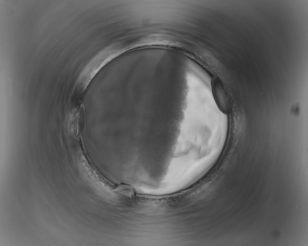 X0000114411369200911271516