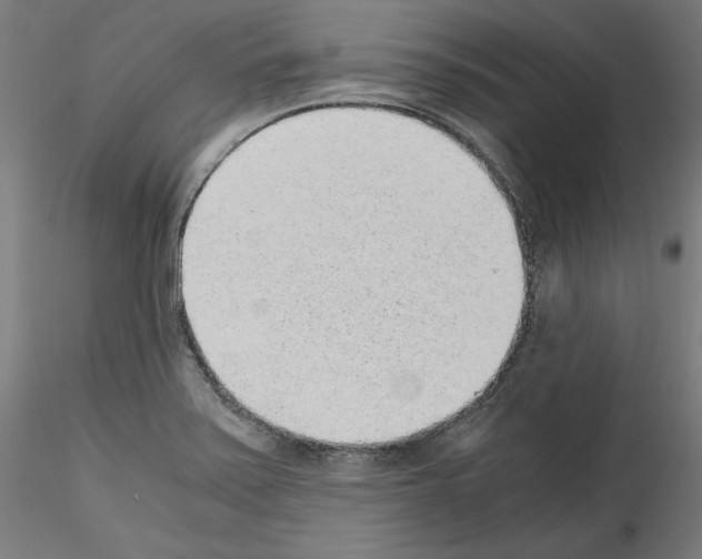 X0000114411371200911271516