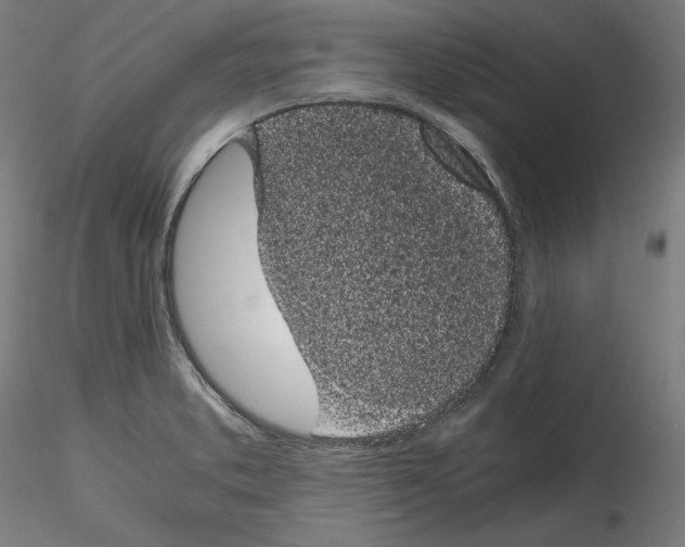 X0000114411373200911271516