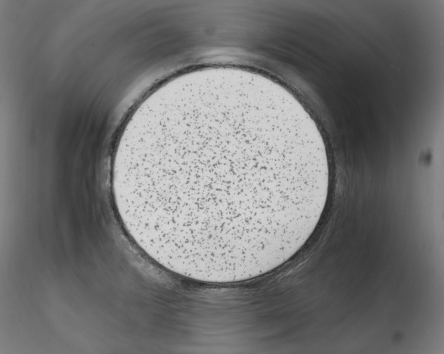 X0000114411376200911271516