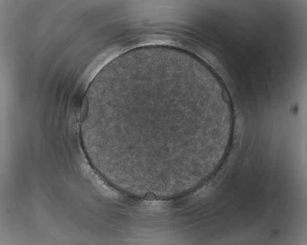 X0000114411377200911271516