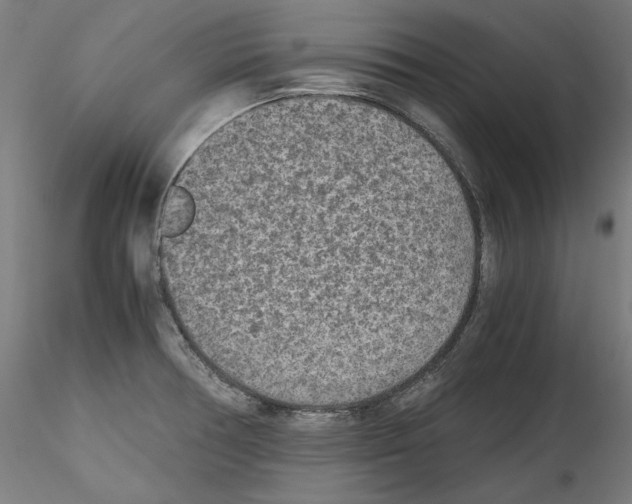 X0000114411378200911271516