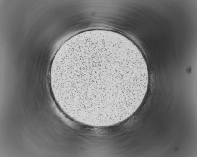 X0000114411379200911271516