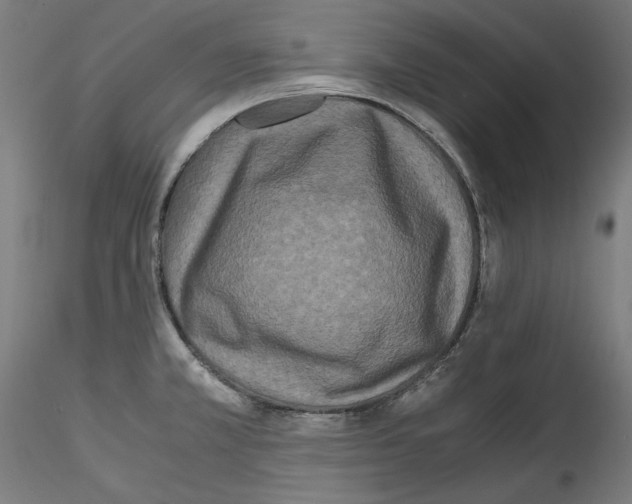 X0000114411381200911271516