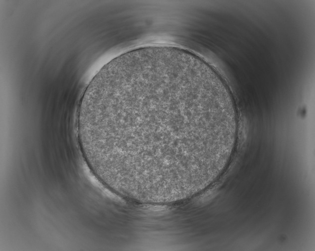 X0000114411382200911271516