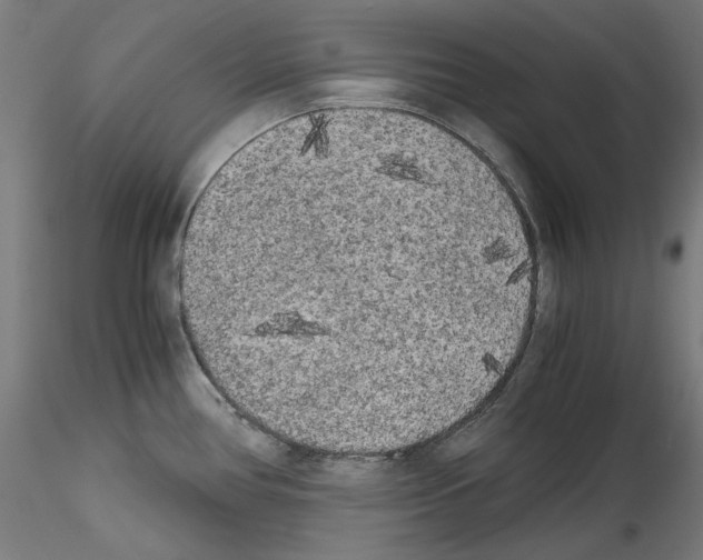 X0000114411386200911271516