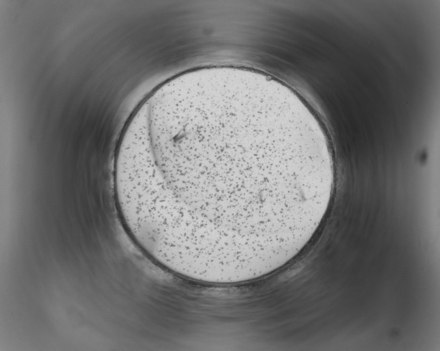 X0000114411388200911271516