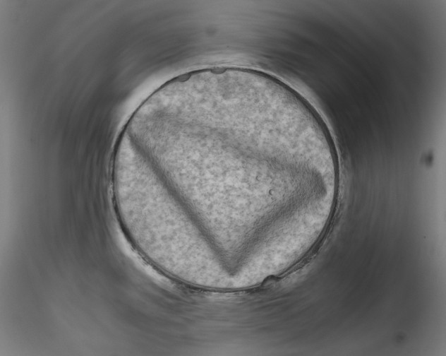 X0000114411389200911271516