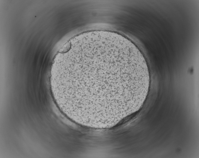 X0000114411390200911271516