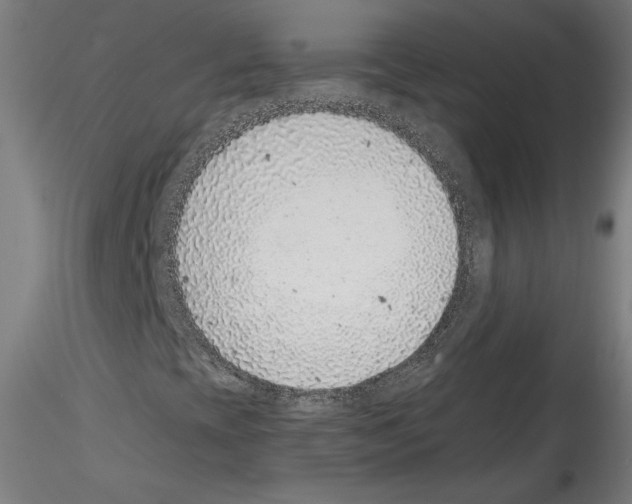 X0000114411393200911271515