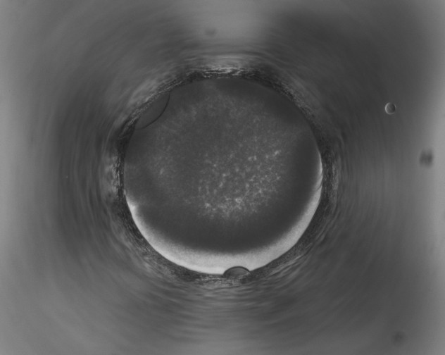 X0000114411394200911271515