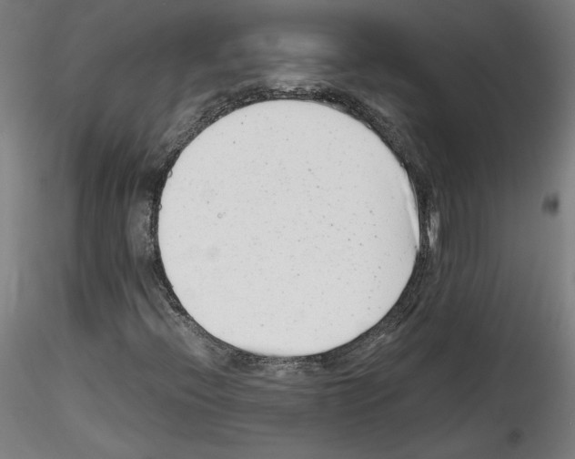 X0000114411396200911271515