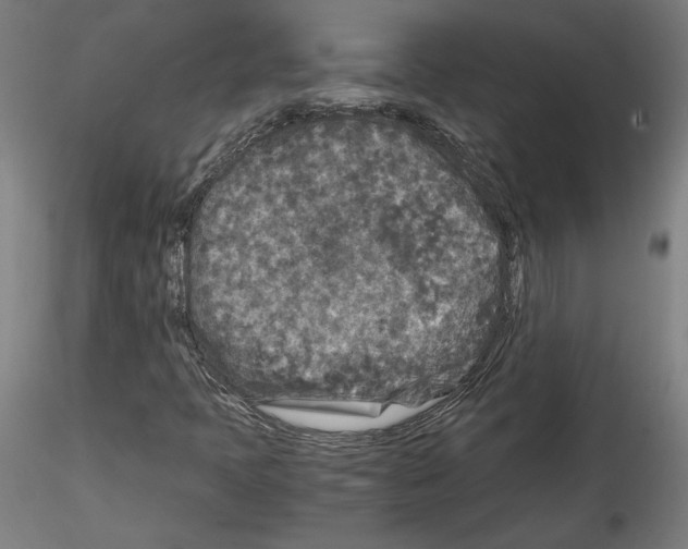 X0000114411397200911271515