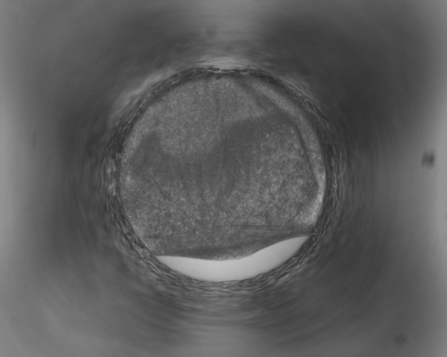 X0000114411398200911271515