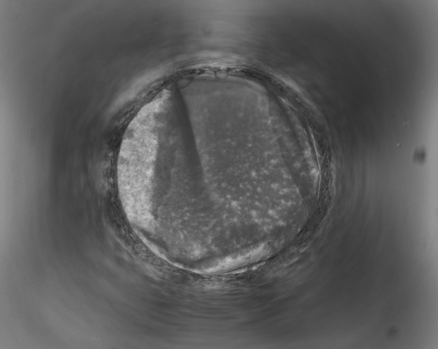 X0000114411399200911271515