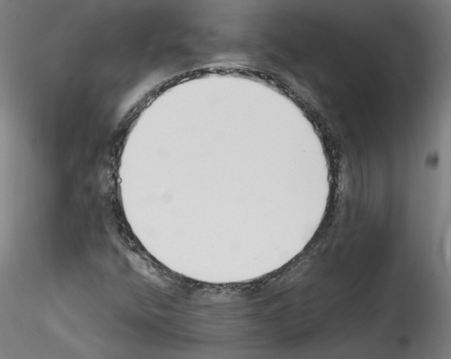 X0000114411400200911271515