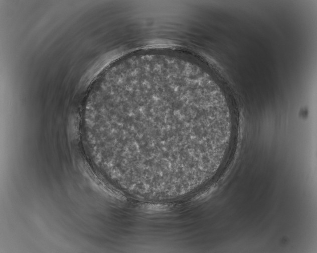 X0000114411401200911271515