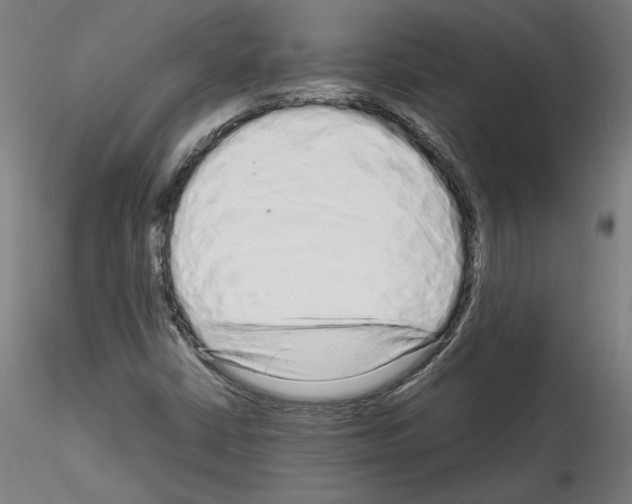 X0000114411402200911271515